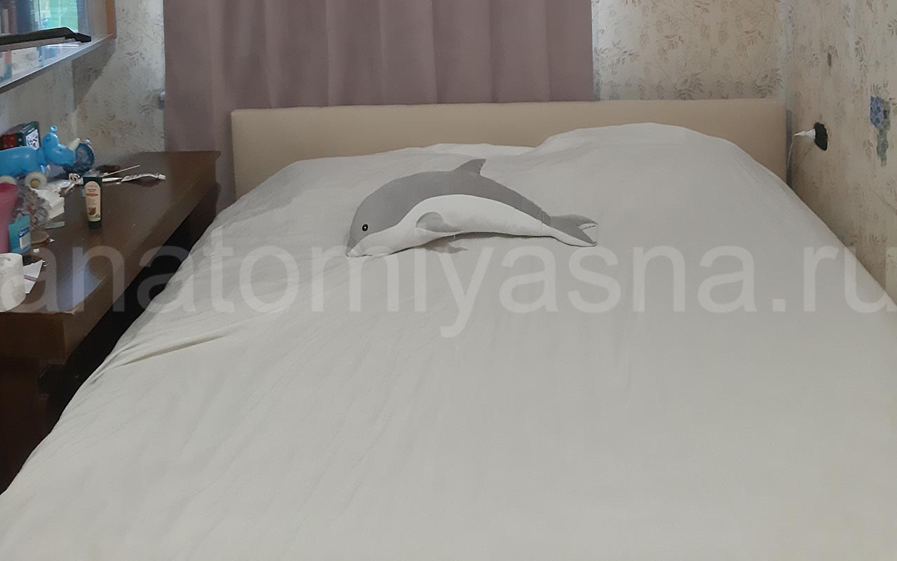 отзыв о Кровать Galaxy Венера 1 без подъемного механизма