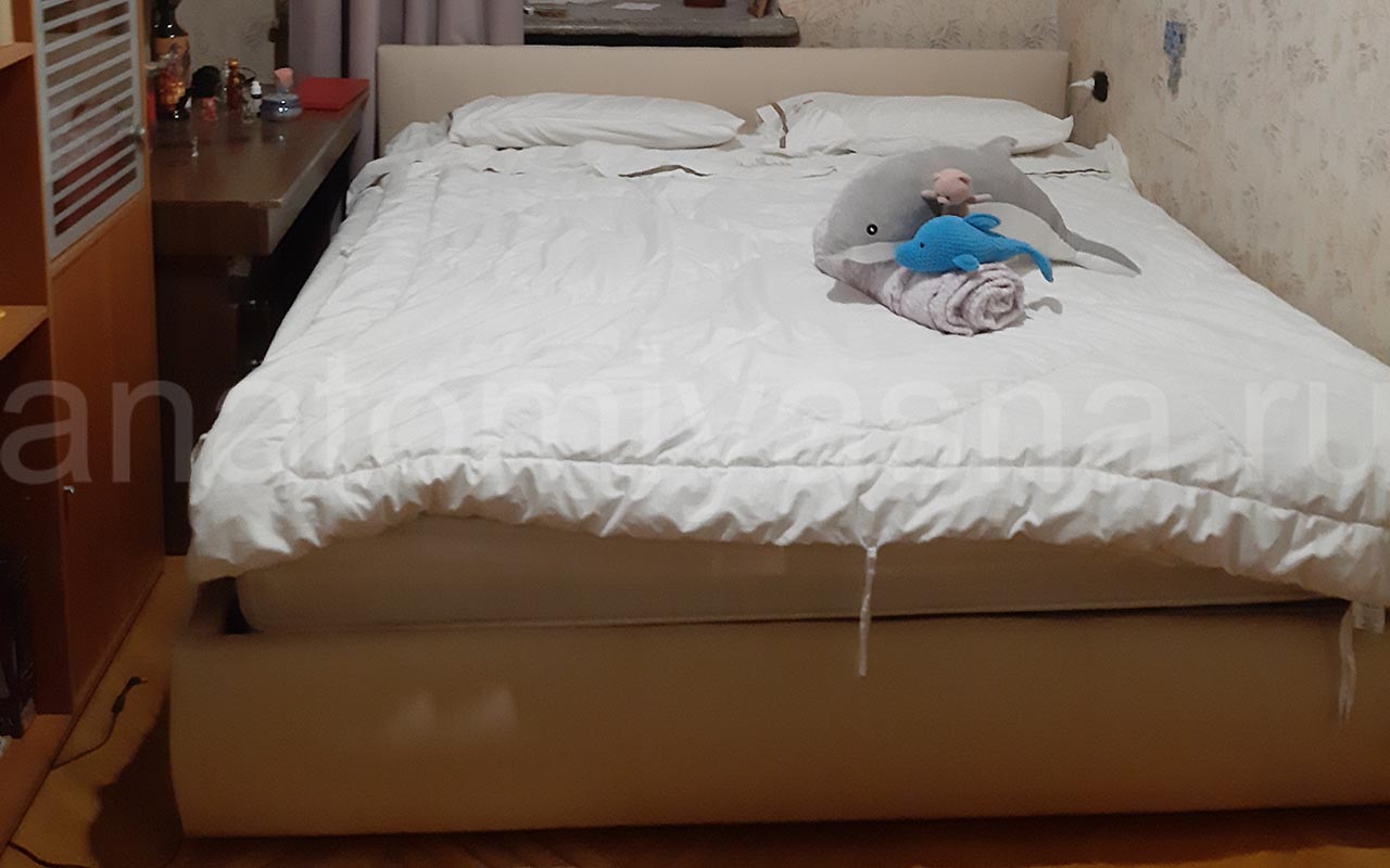 отзыв о Кровать Galaxy Венера 1 без подъемного механизма фото 2